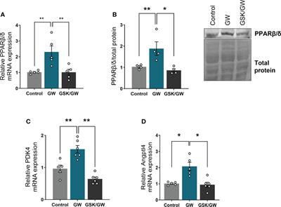 Pharmacological activation of PPARβ/δ preserves mitochondrial respiratory function in ischemia/reperfusion via stimulation of fatty acid oxidation-linked respiration and PGC-1α/NRF-1 signaling